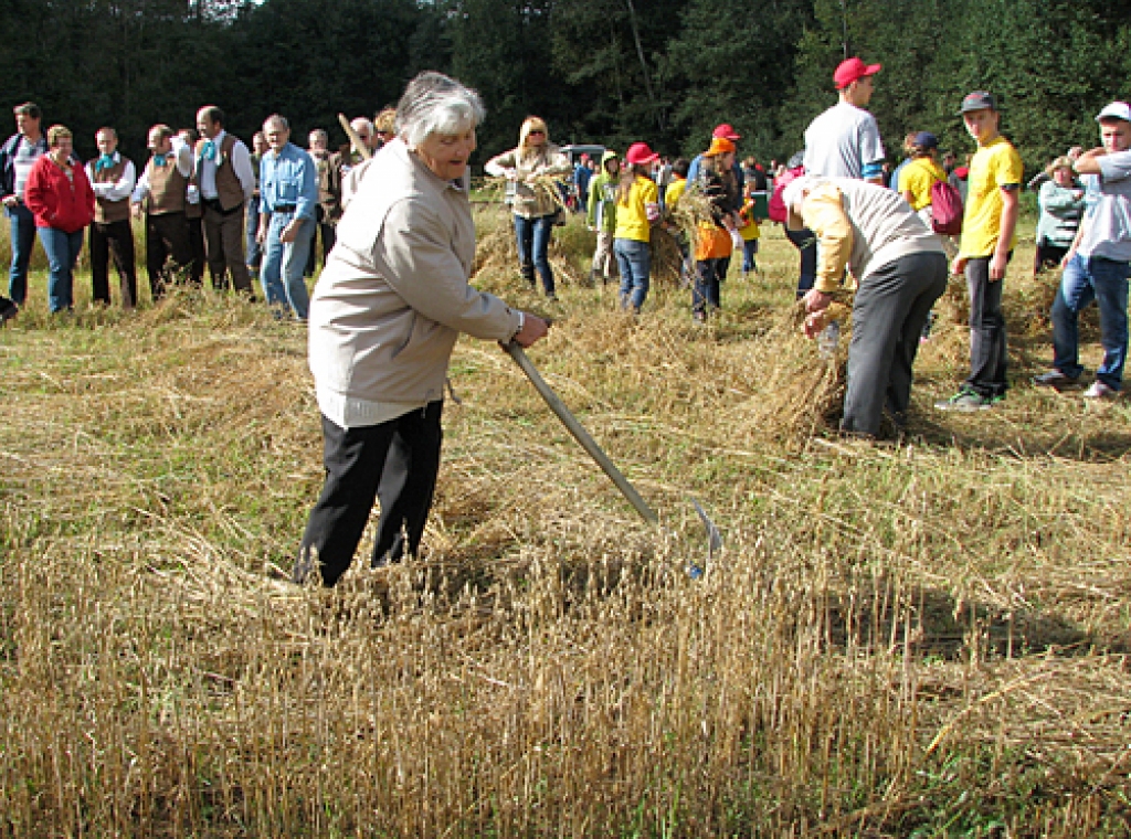 Pļaujas svētki Ausekļu dzirnavās pulcē simtiem interesentu