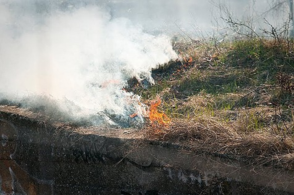 Kūlas dedzinātāji nosvilina dārza mājiņu Bauskā