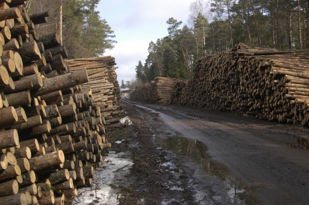 Vecumnieku kokapstrādes uzņēmums «Piebalgas» saņem pusmiljona eiro aizdevumu