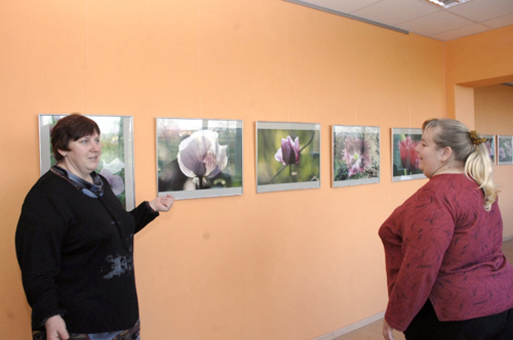 Acis iepriecina vasaras ziedu foto 