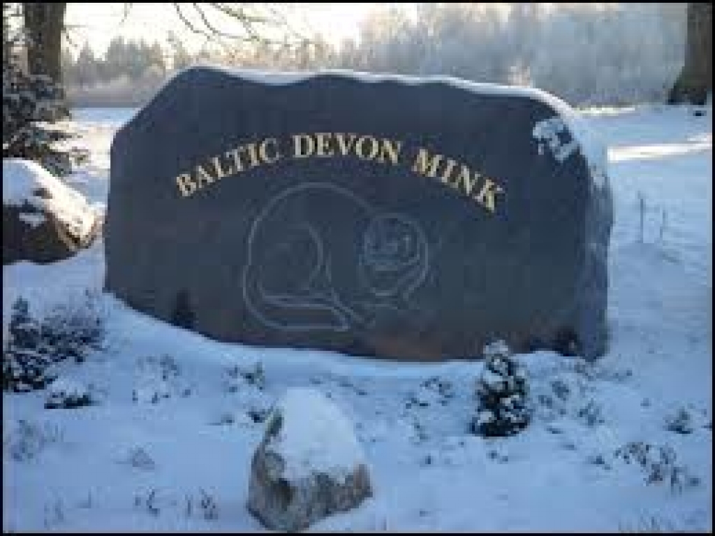 Mainījušies ūdeļu audzētāja «Baltic Devon Mink» līdzīpašnieki