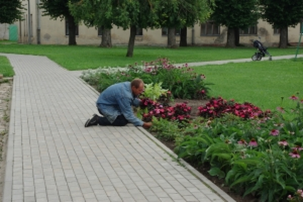 Bauskā policija aiztur apstādījumu postītāju