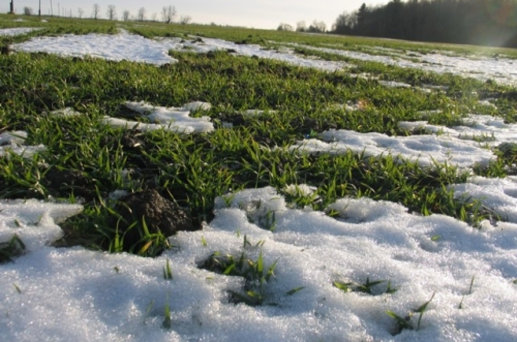 Pirmo reizi šogad gaisa temperatūra Latvijā paaugstinājusies virs +5 grādiem
