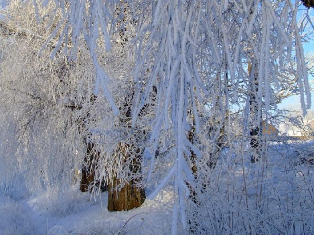 Februāra otrā dekāde - trešā aukstākā novērojumu vēsturē