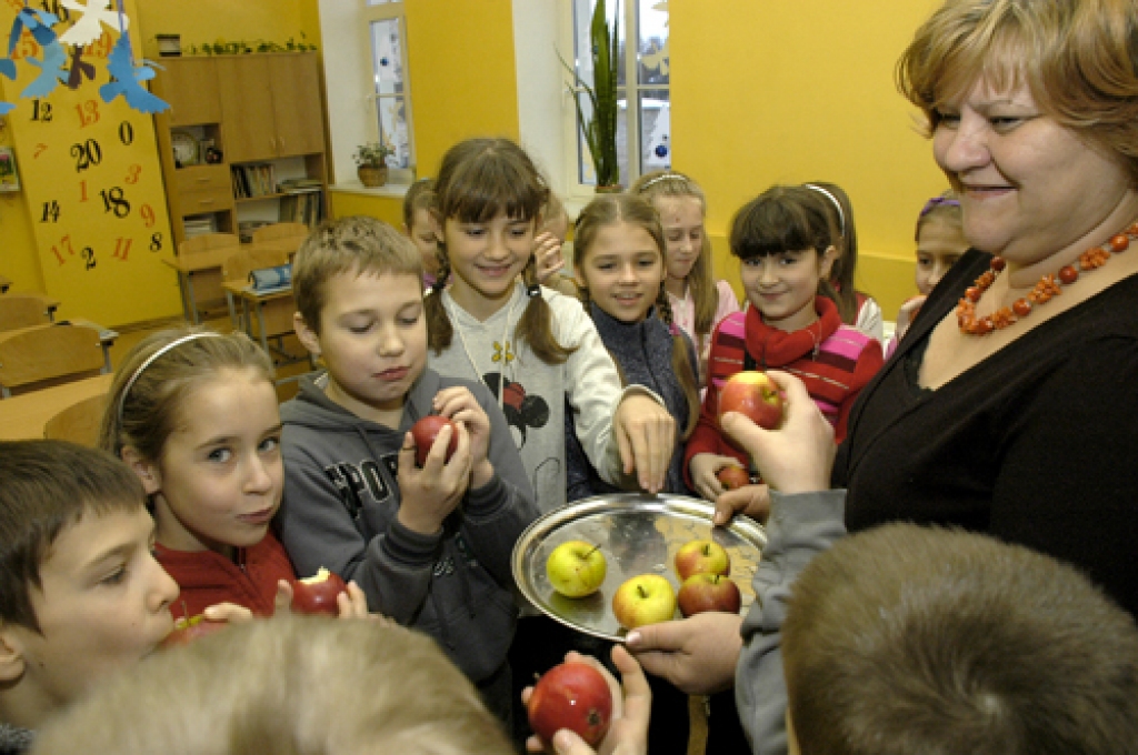 Novados sāk programmu «Skolas auglis»