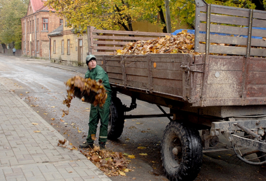 Ikgadējais cīniņš ar lapkriti
