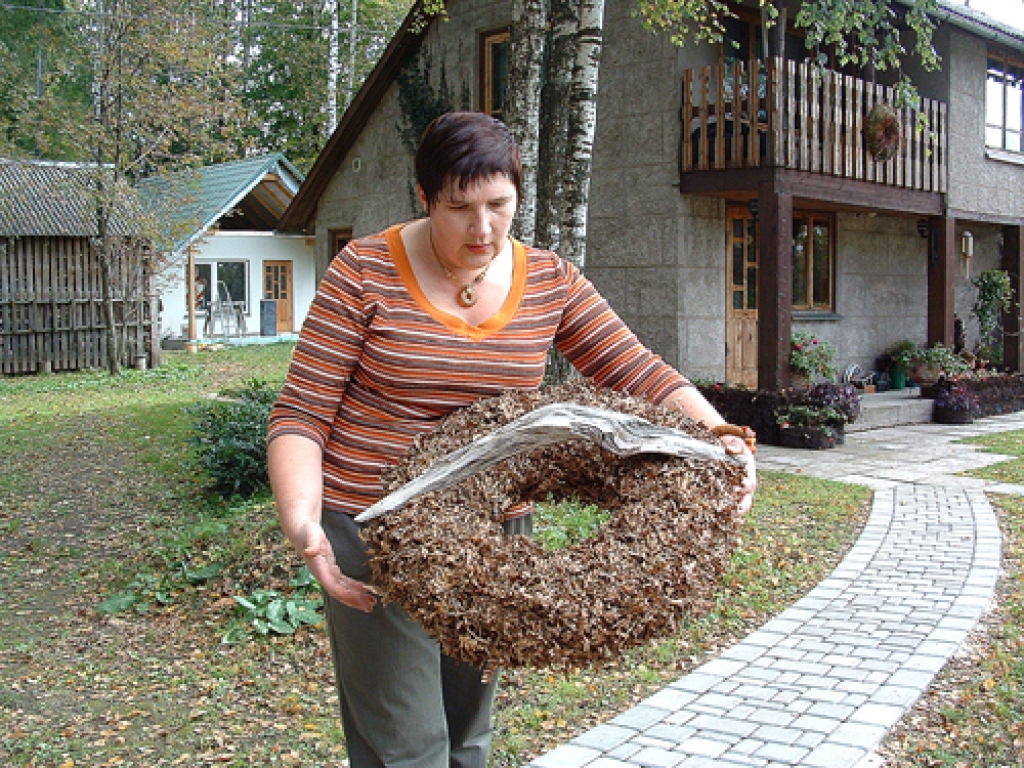 Floristiem sākas mācību sezona