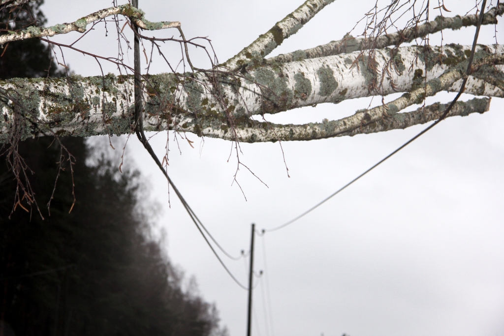 Papildināta - Latgalē elektroapgādes traucējumi pieciem tūkstošiem; sagaida situācijas pasliktināšanos