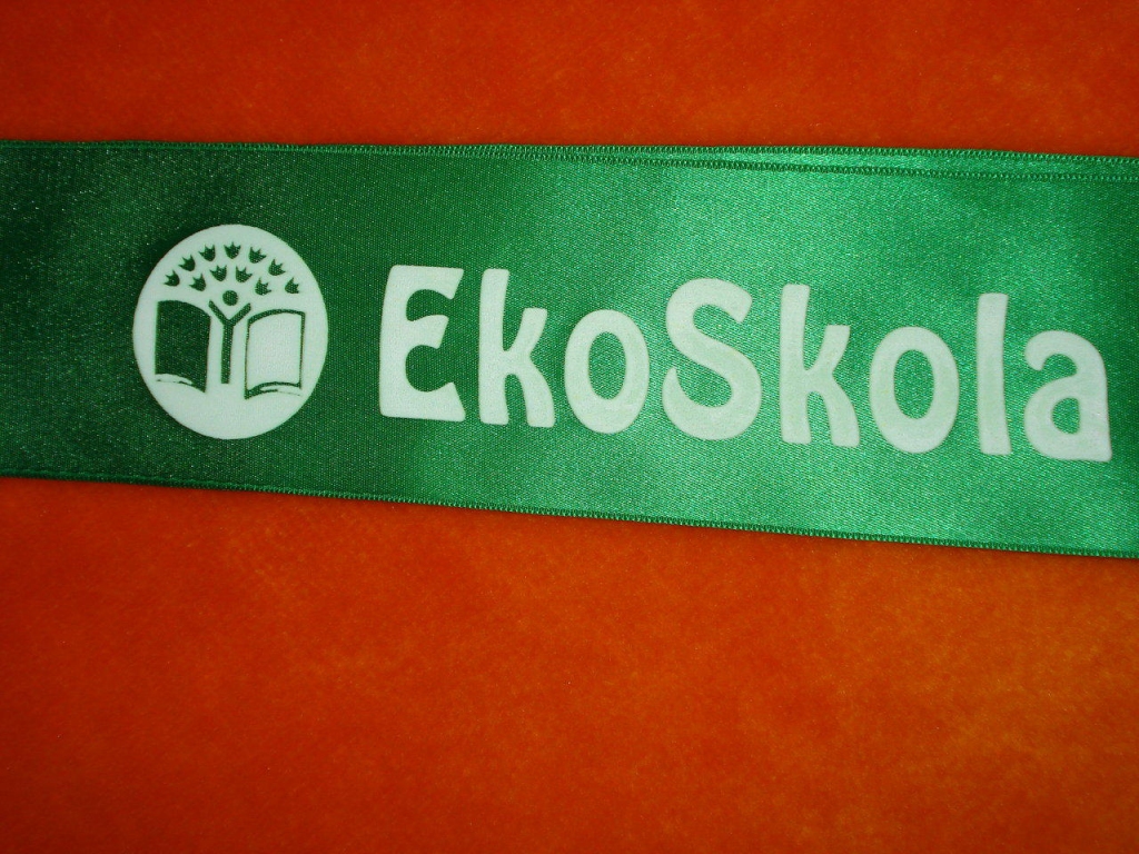 PII «Mārpuķīte» vēlas būt Ekoskola