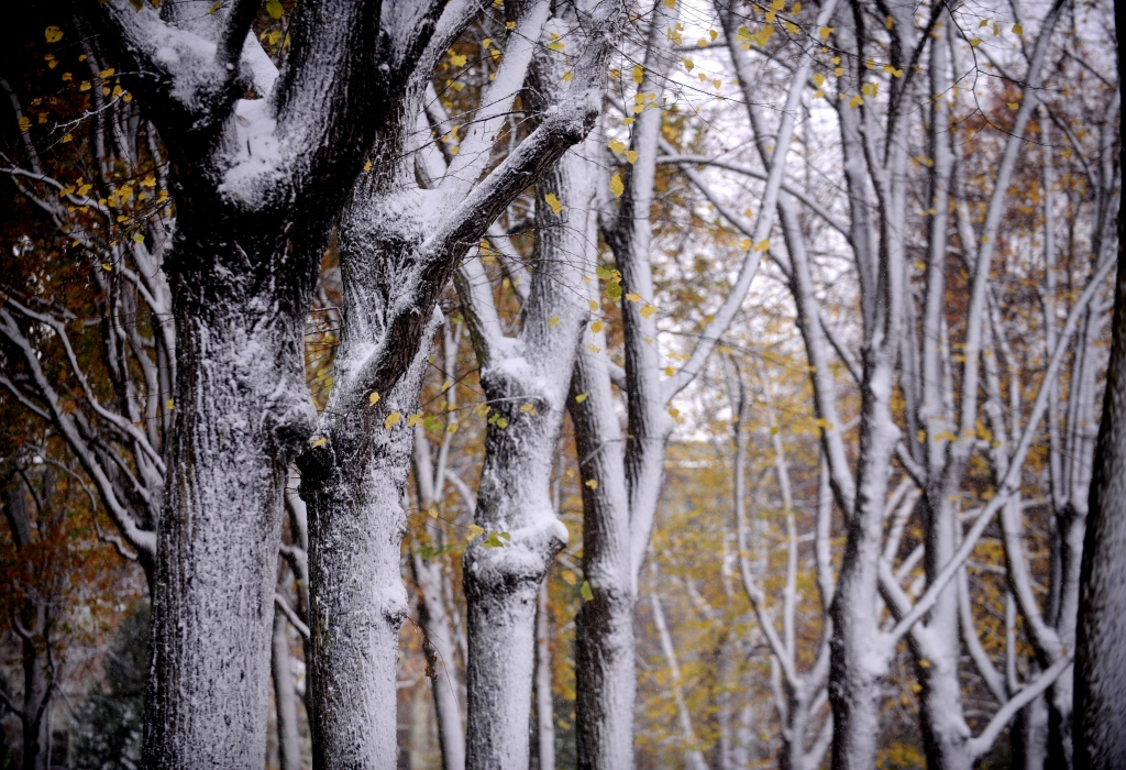 Kas Tev jāzina 27. novembrī