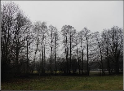 Novembra trešā dekāde bijusi siltāka par normu