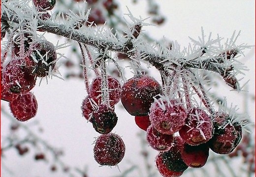 Izstādes «Tik balts» atklāšana Rundālē