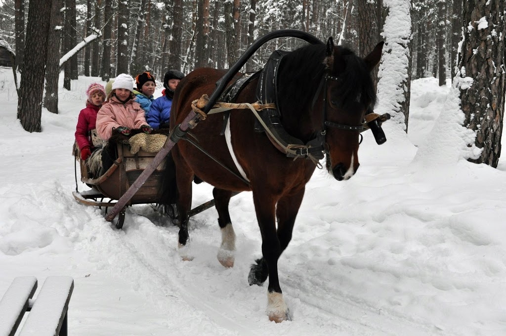 Ziemas saulgriežu sarīkojums Grenctālē