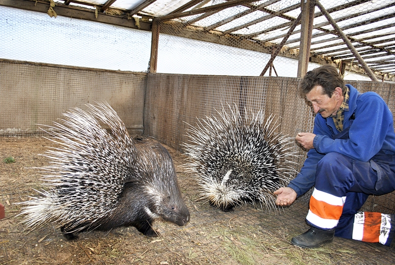 Minizoo «Dobuļi» iemītnieki pārlaiž ziemu