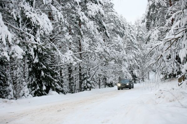 Janvārī stabilas ziemas iestāšanās nav gaidāma