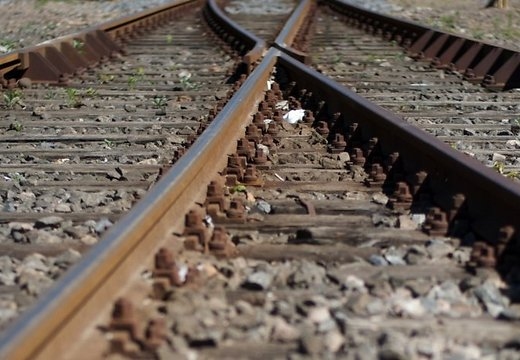 Vecumniekos zirgs izraisa sadursmi ar kravas vilcienu