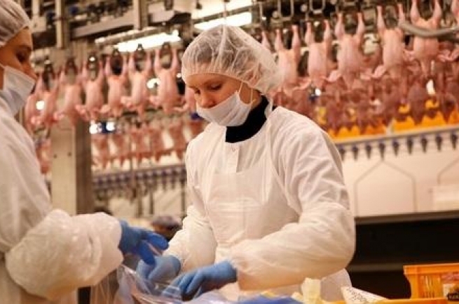 «Lielzeltiņi» pērn panākuši 24% apgrozījuma un trīskāršu peļņas kāpumu