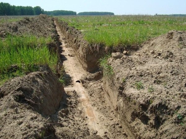 Iecavā izglītos par meliorāciju un zemes izmantošanu