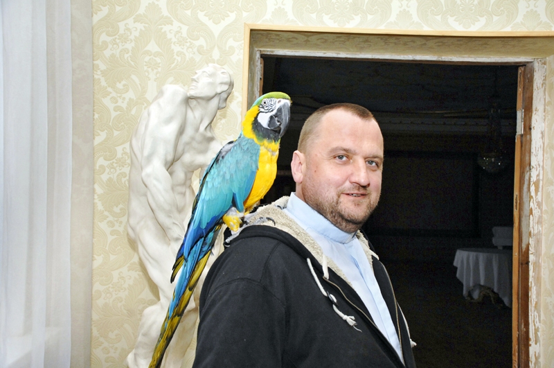 Tropu šovmens Bruknā
