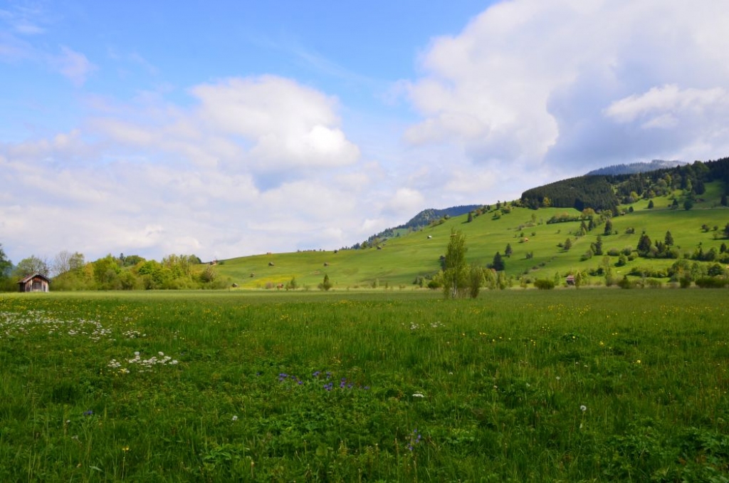 Viena persona varēs iegādāties līdz 2000 hektāru lauksaimniecībā izmantojamās zemes 