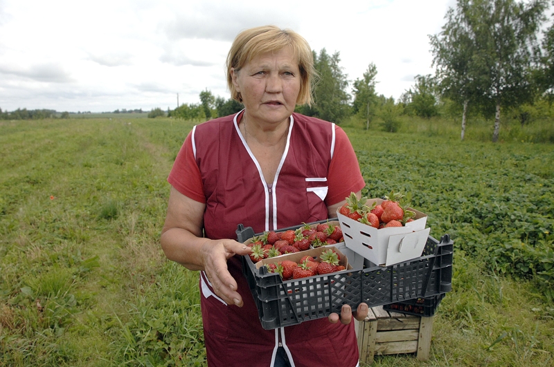 Komentāri: 18. novembris – dibināta Latvijas valsts