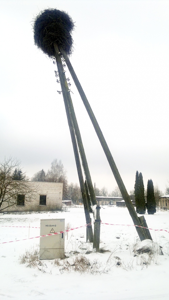 Noņem stārķa ligzdu