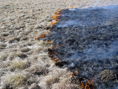 «Pamodušies» kūlas dedzinātāji