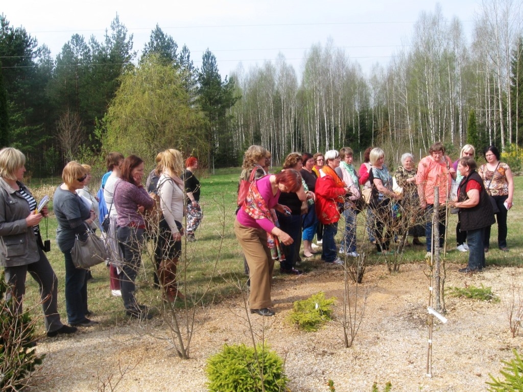 Kalsnavas pusē pārsteidz krāšņā vide