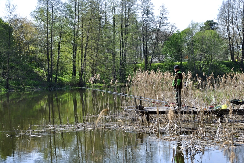 FOTO: Sacensības «Cīņa par lielāko Bangu dīķa karpu»