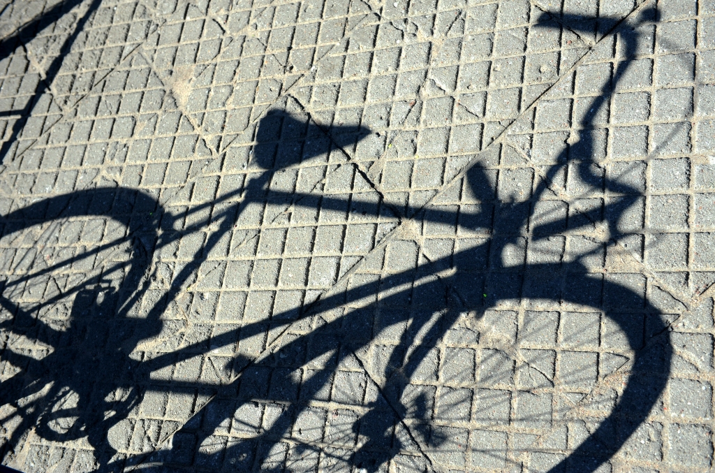 Smagas traumas guvis velosipēdists, kurš centies izvairīties no suņa