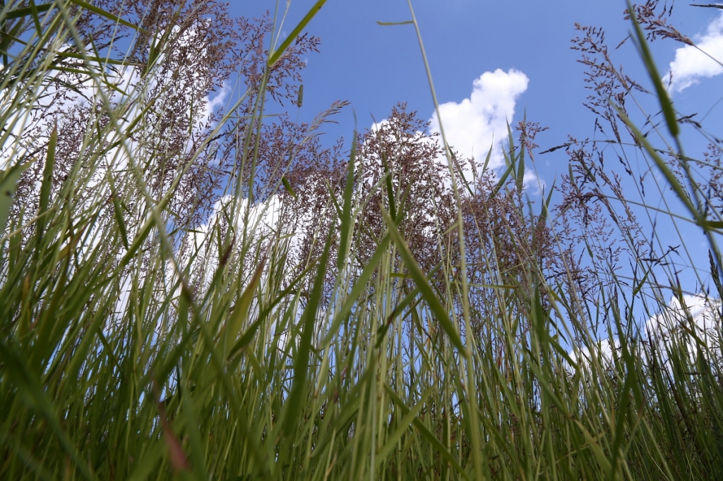 Nedēļas nogalē nokrišņu būs maz, jaunnedēļ laika apstākļi mainīsies