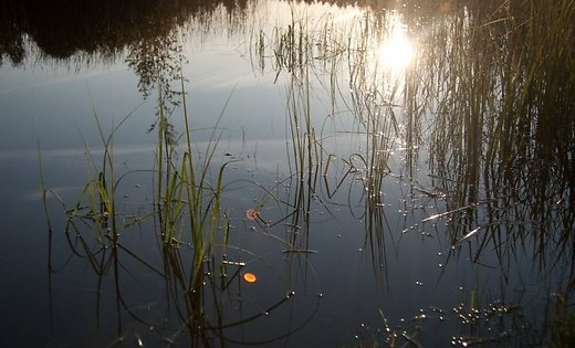 Peldēšanās alkohola reibumā – bīstama