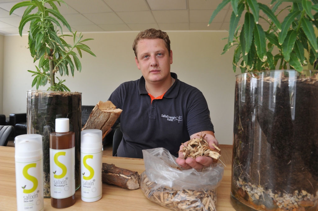 Kārklu plantācijas var līdzēt CO2 izmešu samazināšanā 