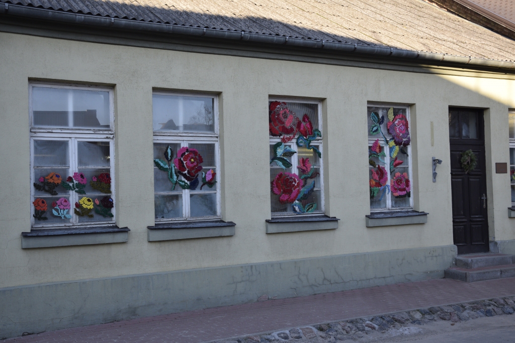 Pelēcīgajā ziemā Bauskā uzplaukst svētku rozes