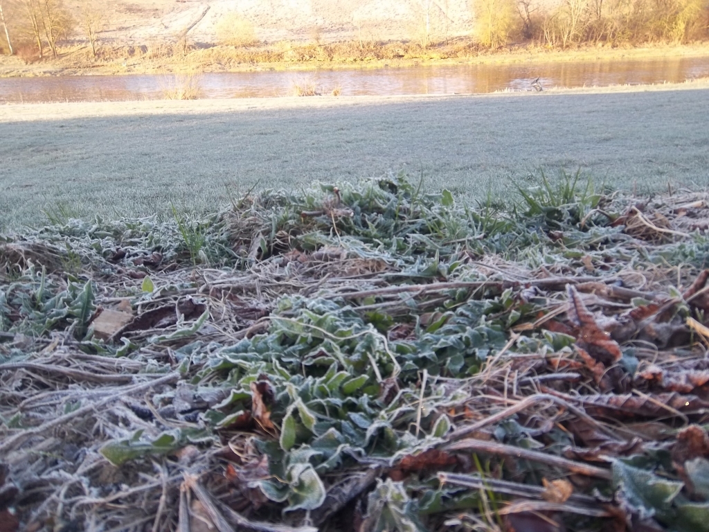 Bauskā pārspēts 20. aprīļa aukstuma rekords