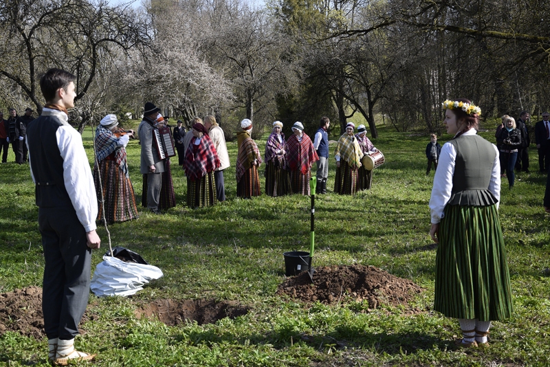 FOTO: Svitenē iedēsta simtgades ozolus