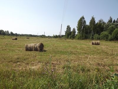 Jūlija sākums bijis 2,2 grādus vēsāks nekā ierasts