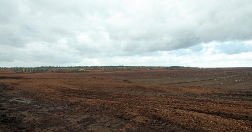 Kūdras ražotāja «Greenyard Horticulture Latvia» apgrozījums pērn pieaudzis 1,8 reizes