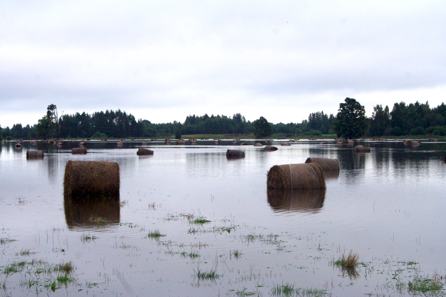 Latvijas lauksaimniekiem par plūdu postījumiem izmaksās 14,87 miljonus eiro