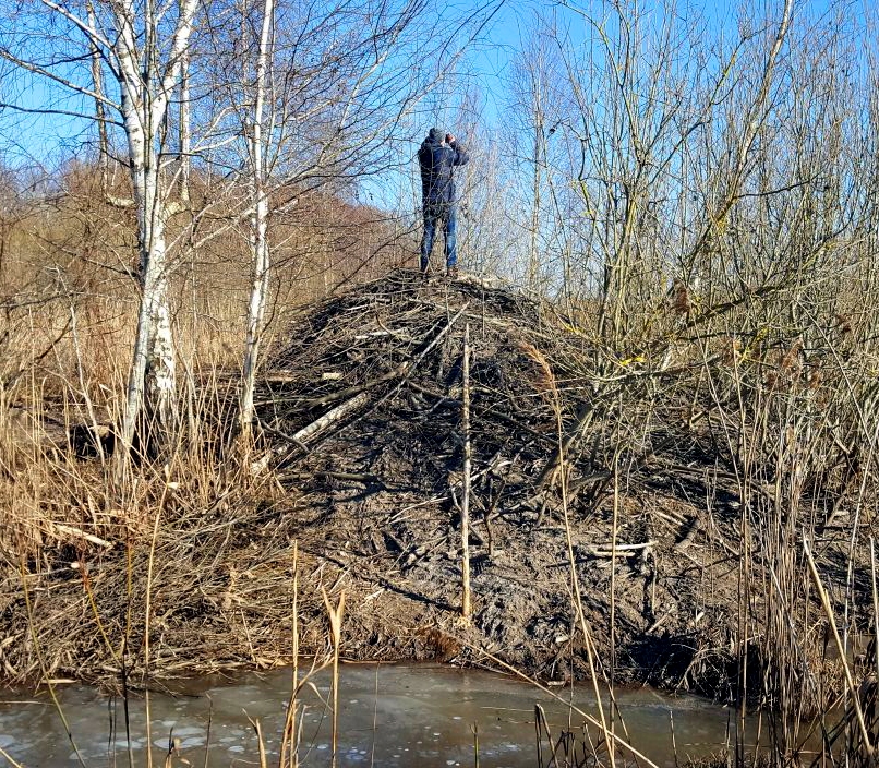 FOTO: Bebru mājokļi Vecsaulē