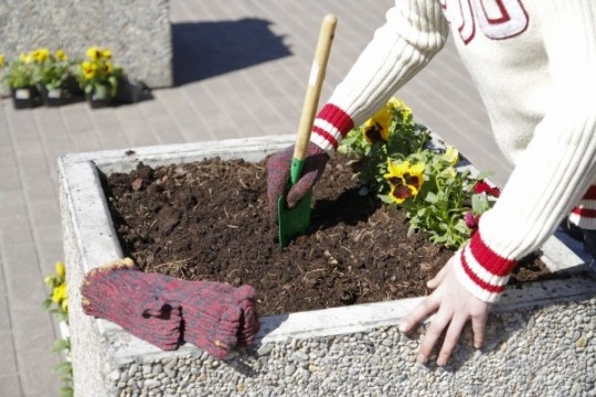 Pēdējo dienu darba devēji var pieteikties skolēnu vasaras nodarbinātības pasākuma īstenošanai