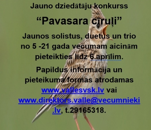 Jauno dziedātāju konkurss Vallē