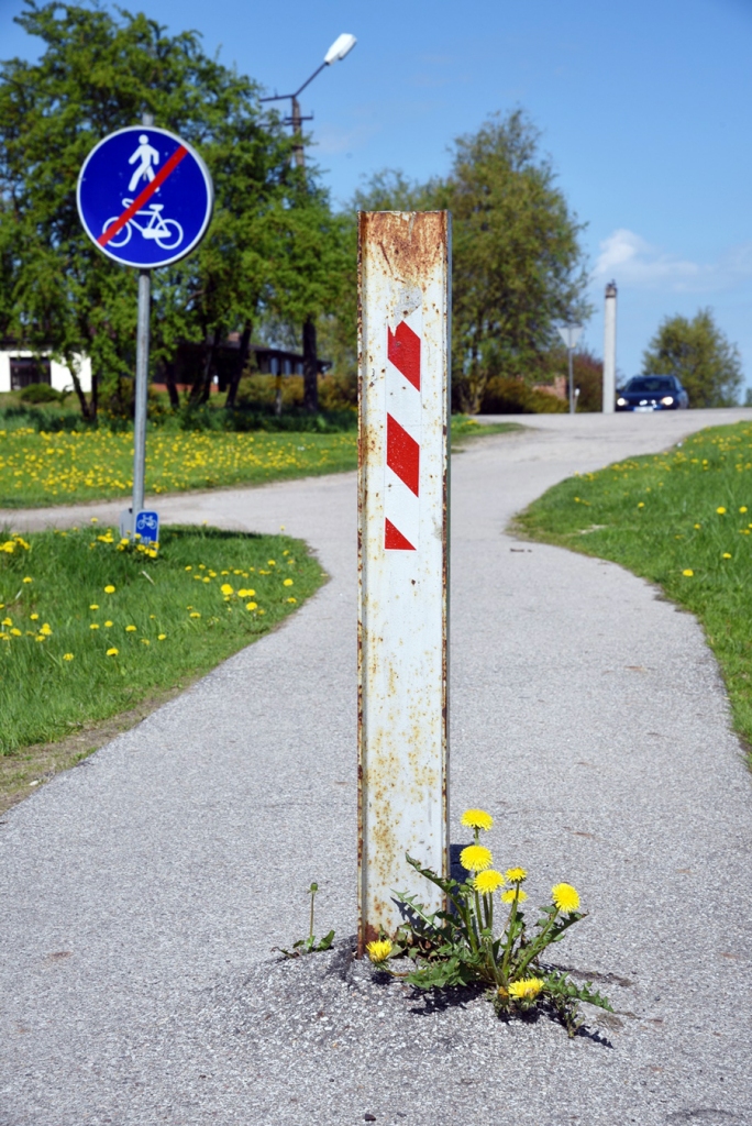 Lasītājs jautā, tel. 63922963