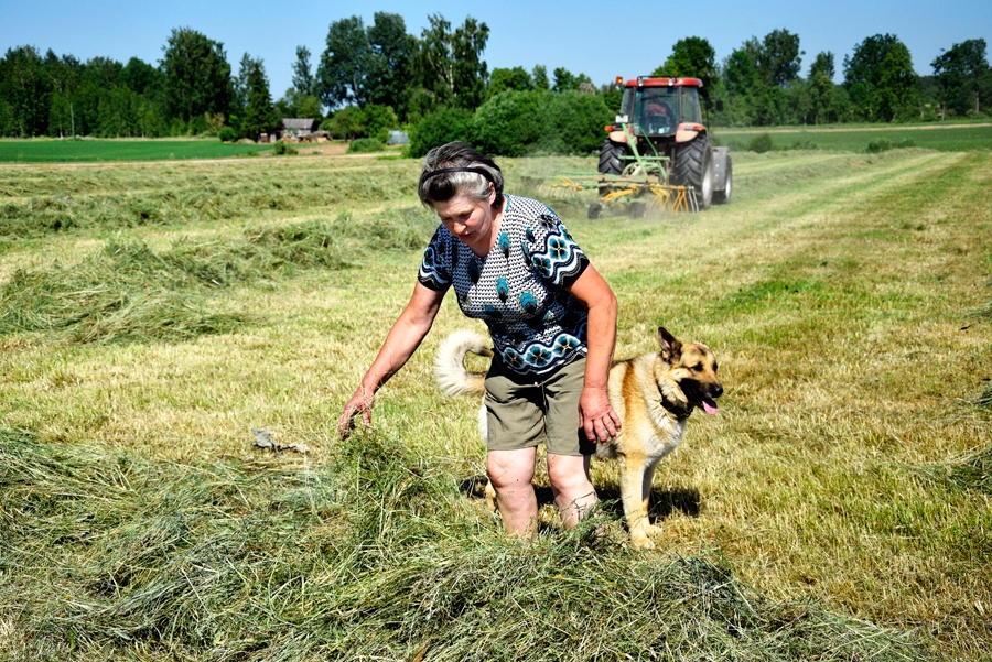 Ģimeņu saimniecības – lauku balsts