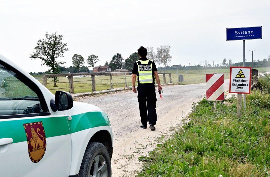 Cūkkopības nozare «kā uz pulvera mucas»...