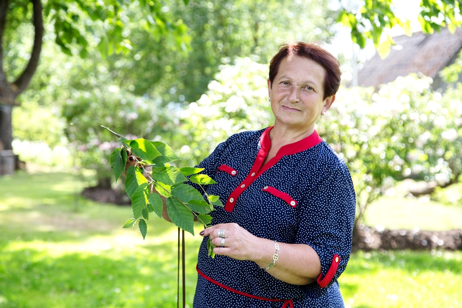 Vīnoga – tu saules bērns!