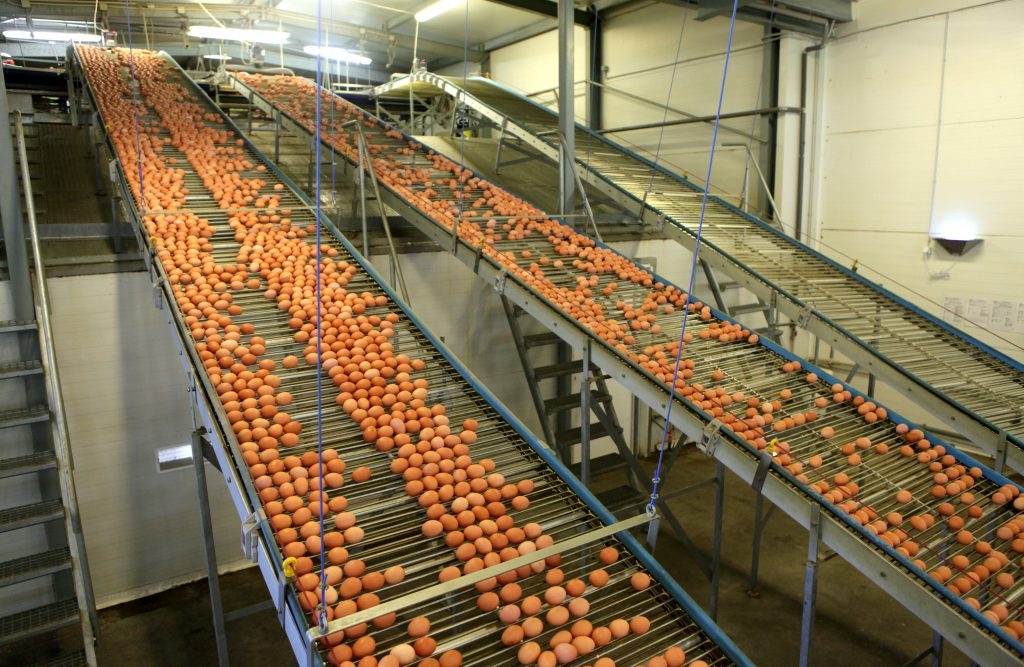 «Balticovo» apgrozījums pērn audzis par 17,3%