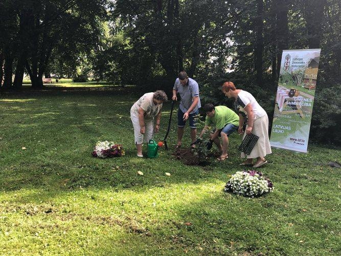 Latvijas Zemnieku federācijas ozols augs Iecavas parkā