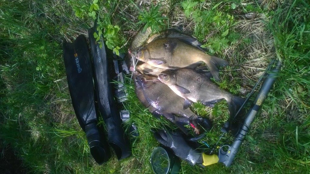 Mēmeles posmā Bauskas novadā būs atļautas zemūdens medības