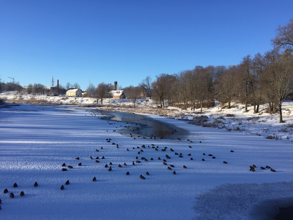 Sestdien gaidāms saulains un rekordsilts laiks